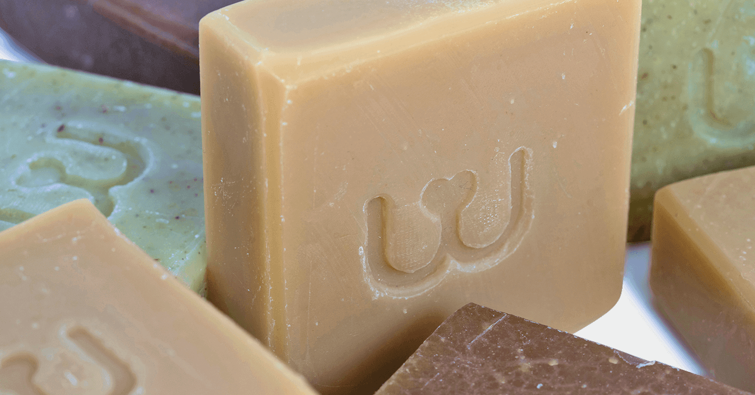 williwiggle_13png williwiggle_13png