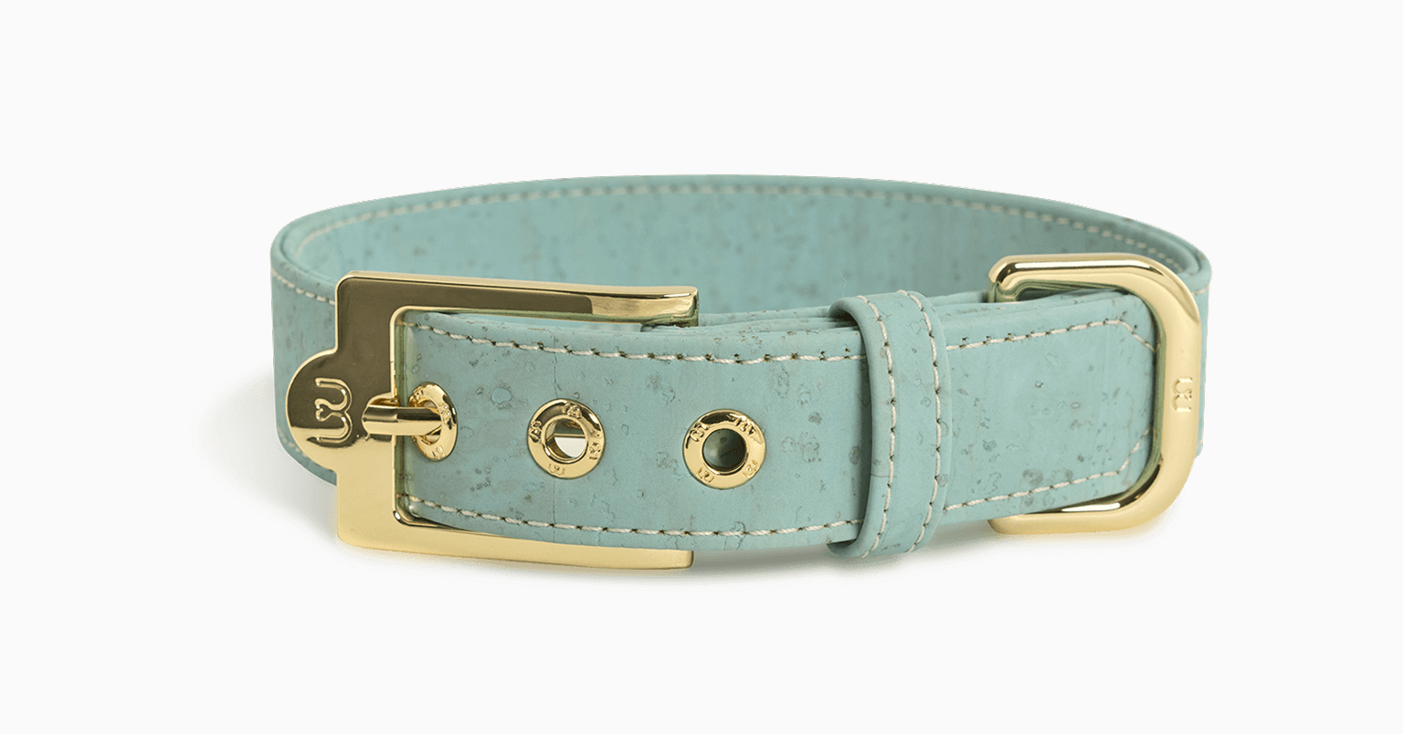 williwiggle_15 williwiggle_15